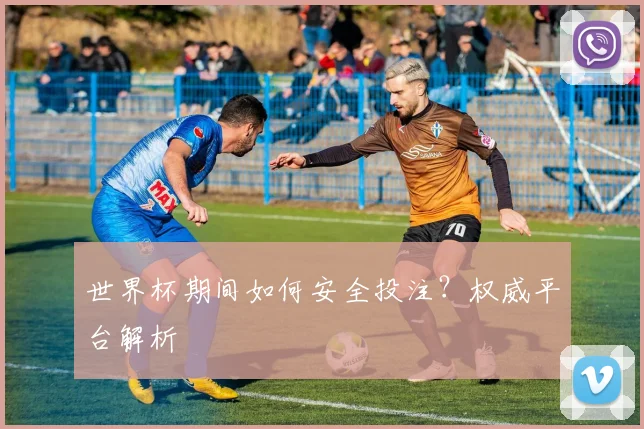 世界杯期间如何安全投注？权威平台解析