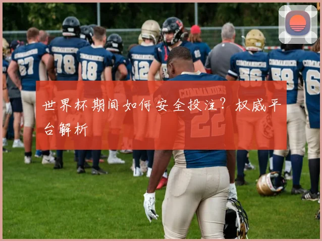 世界杯期间如何安全投注?权威平台解析