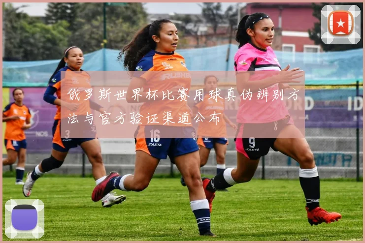 俄罗斯世界杯比赛用球真伪辨别方法与官方验证渠道公布